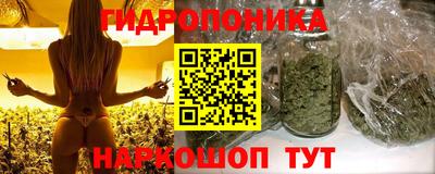 mdpv Кимры