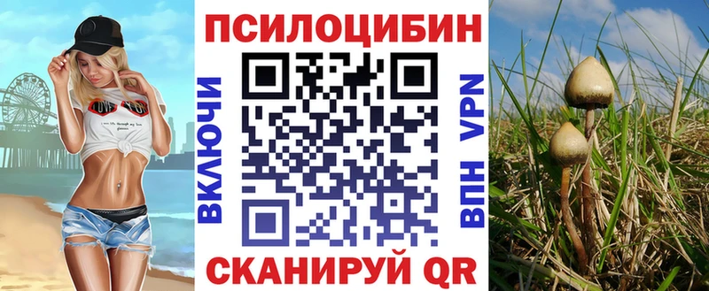 Галлюциногенные грибы мухоморы  Соль-Илецк 